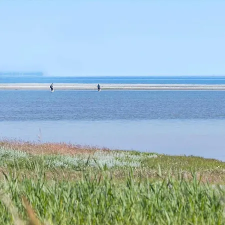 Hébergement de vacances 8989-orsted-spovevej-20