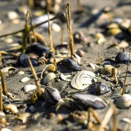 8989-orsted-spovevej-20 Hébergement de vacances